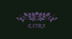  Extra